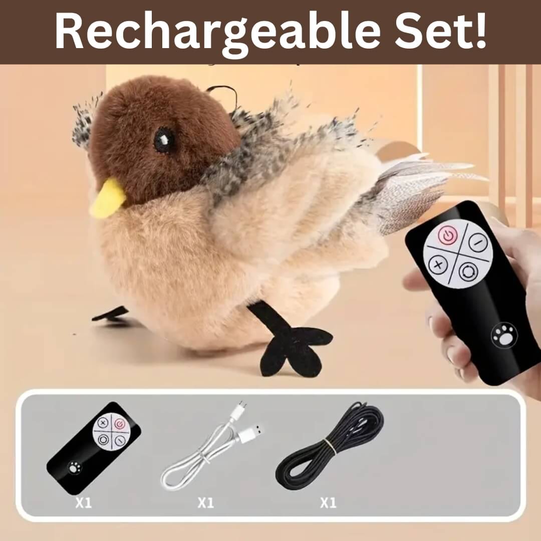 Pawsitive Play™ – Stimulate Your Cat’s Natural Instincts