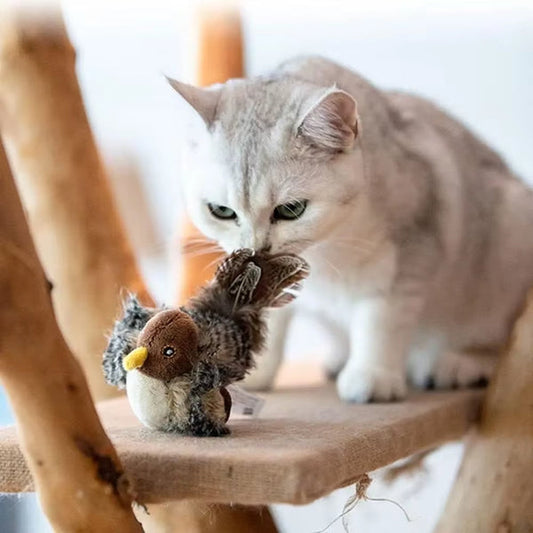 Pawsitive Play™ – Stimulate Your Cat’s Natural Instincts