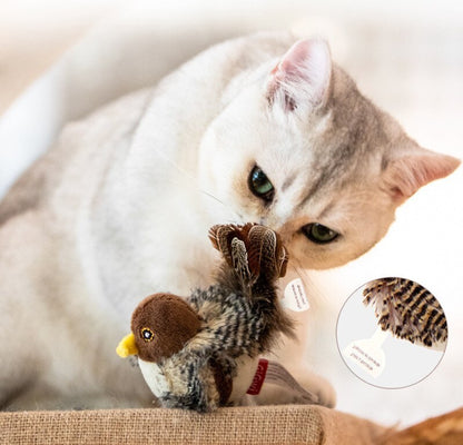 Pawsitive Play™ – Stimulate Your Cat’s Natural Instincts