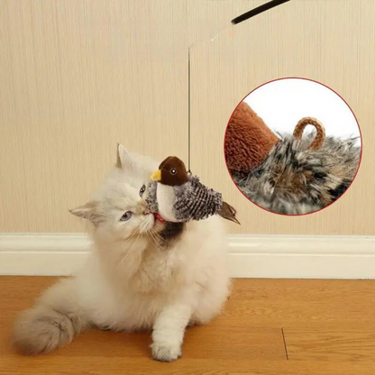 Pawsitive Play™ – Stimulate Your Cat’s Natural Instincts