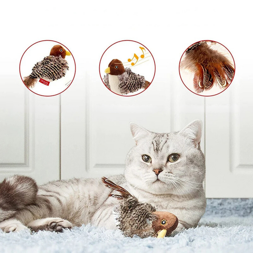 Pawsitive Play™ – Stimulate Your Cat’s Natural Instincts