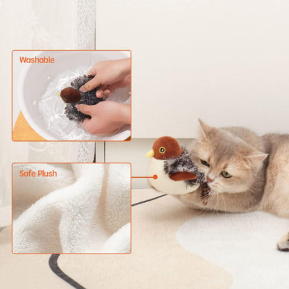 Pawsitive Play™ – Stimulate Your Cat’s Natural Instincts