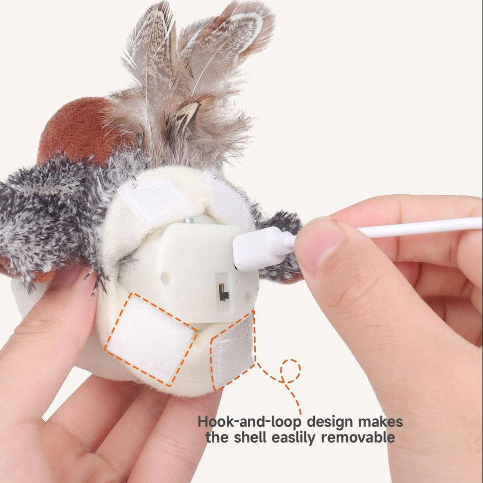 Pawsitive Play™ – Stimulate Your Cat’s Natural Instincts