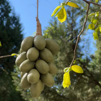 VitaGrape™ – Natural Grape-Shaped Soap